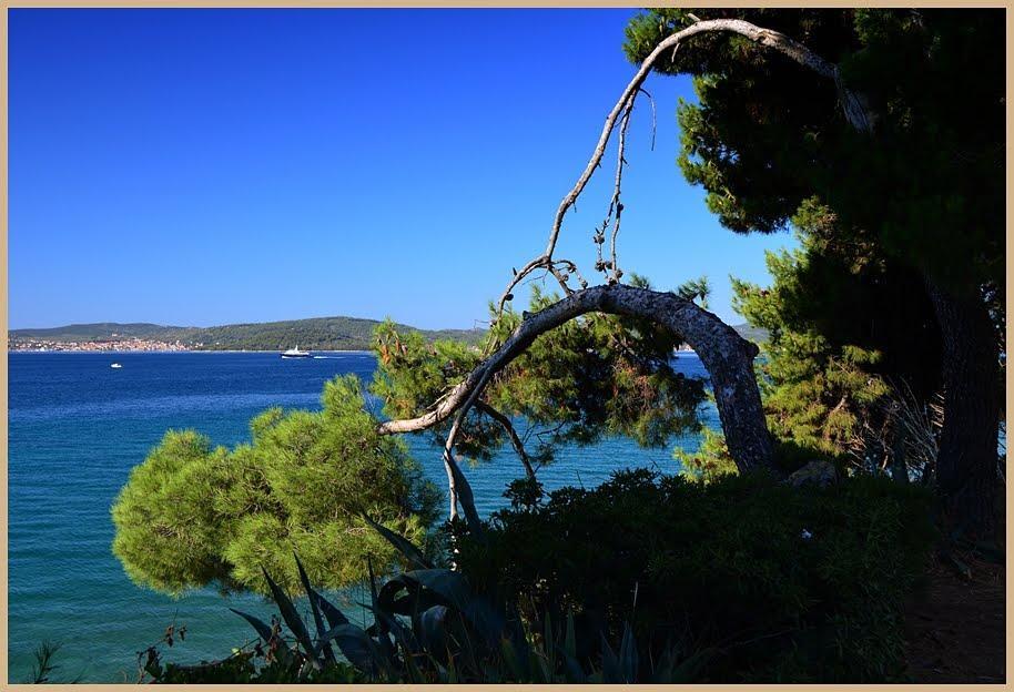 Apartments Vedrana Zadar Ngoại thất bức ảnh